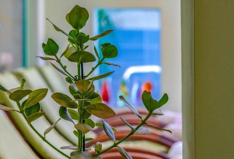 فندق Alpenblick Kreischberg