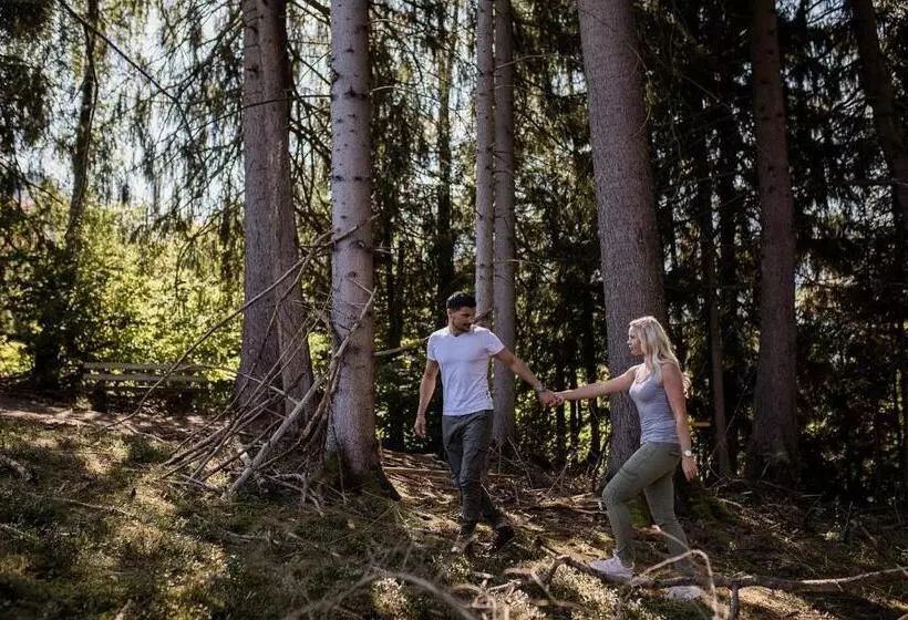 هتل Alpenschlössl