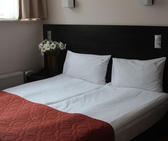 ホテル Elokhovsky City