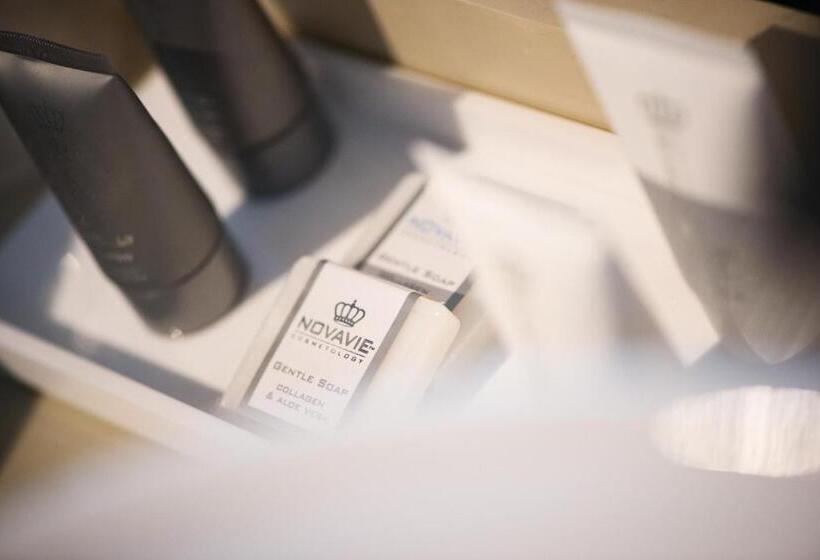 酒店 Hôtel L Ecrin D ô