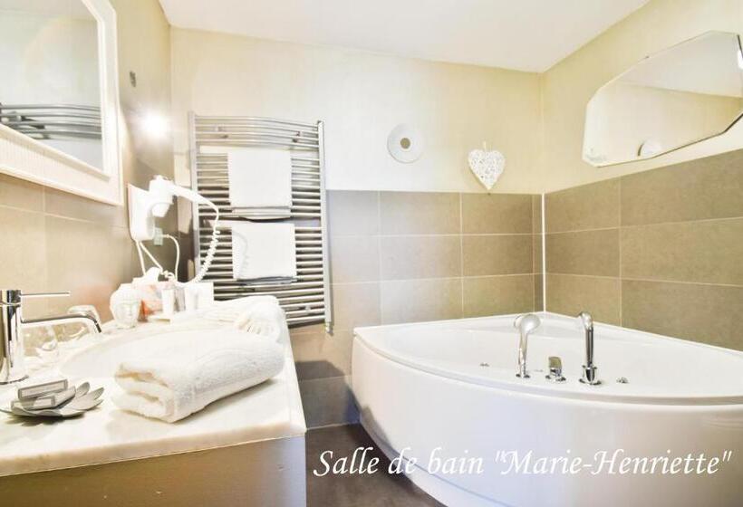 酒店 Hôtel L Ecrin D ô