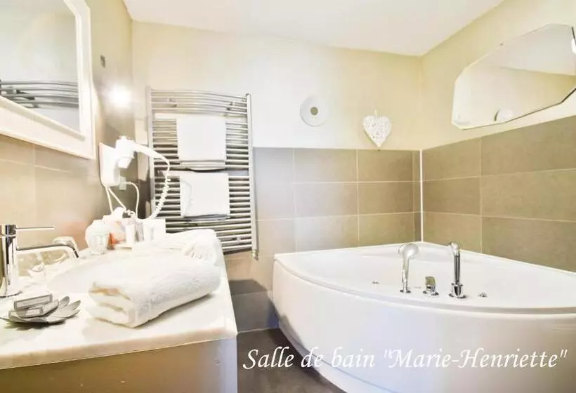 هتل Hôtel L Ecrin D ô