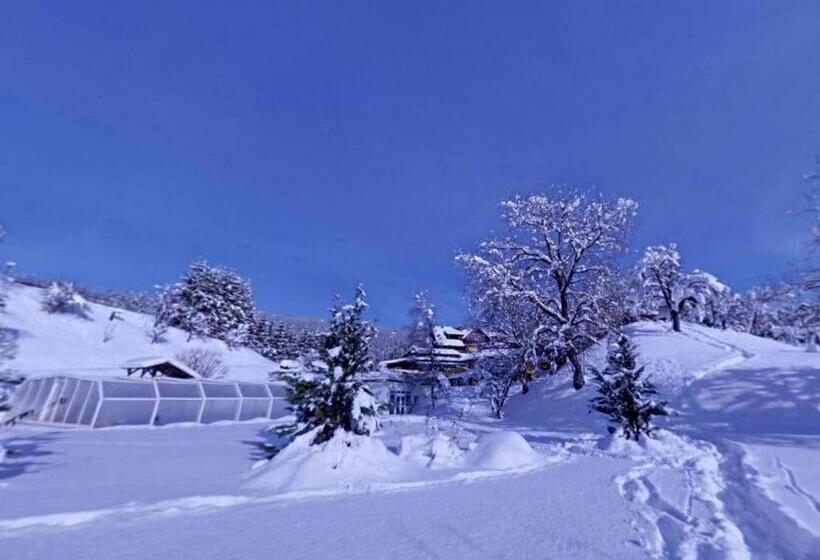 호텔 Karnischer Hof