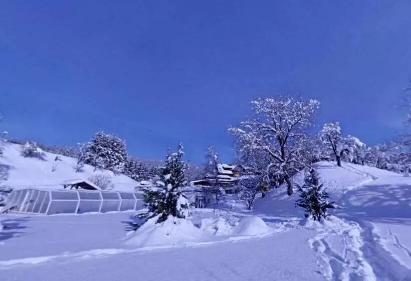 ホテル Karnischer Hof