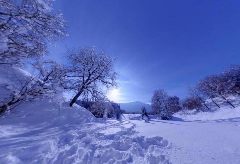 호텔 Karnischer Hof