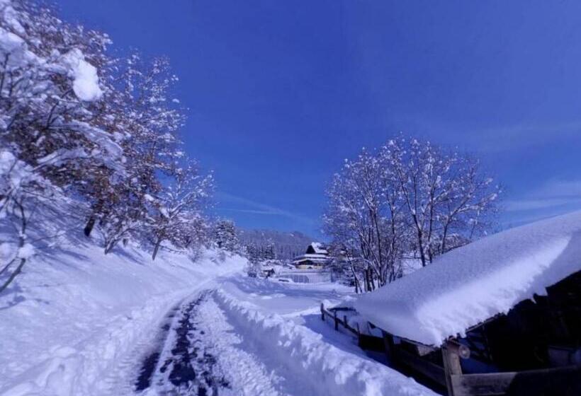 호텔 Karnischer Hof