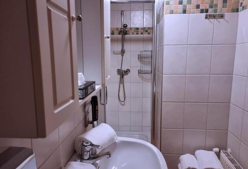 호텔 Karnischer Hof