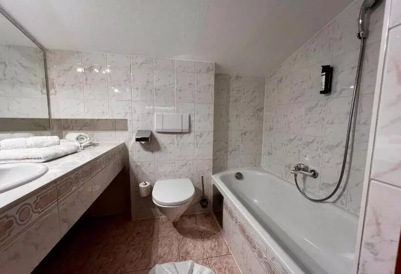 Wellness Aparthotel Lechlife Incl Pool   400m Zum Skilift