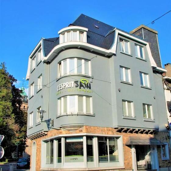 هتل L'esprit Sain