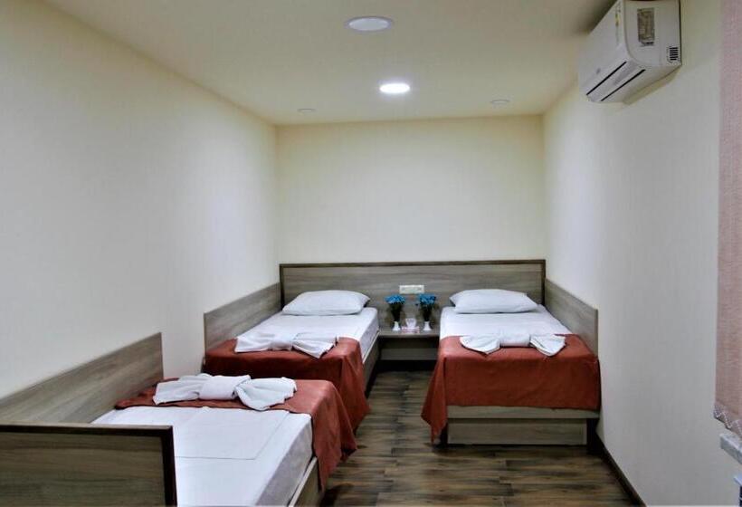 Albert House Hotel And Tours