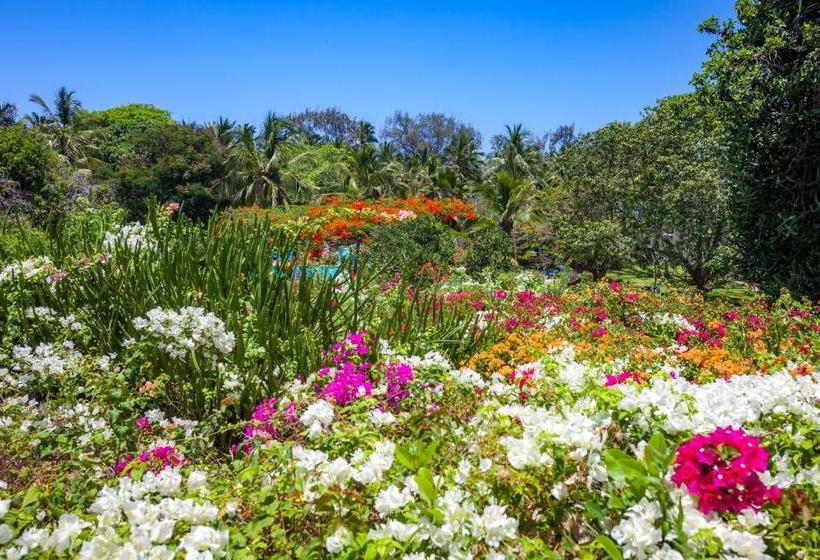 Diani Sea Resort  All Inclusive