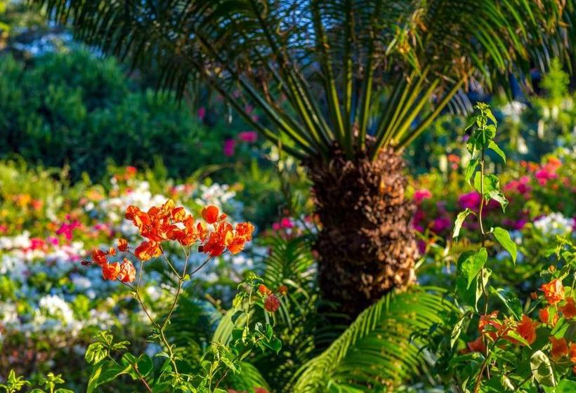 Diani Sea Resort  All Inclusive