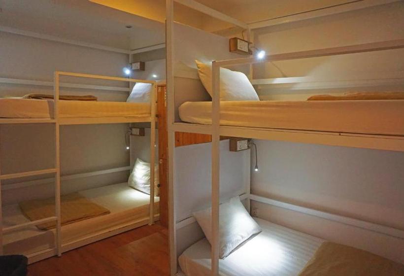 Maya Papaya Cafe & Hostel(one Stop)