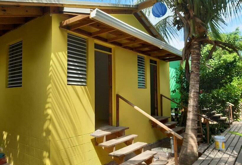 The Funky Dodo Backpackers Hostel