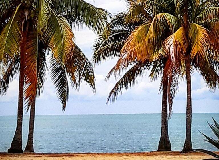 The Funky Dodo Backpackers Hostel