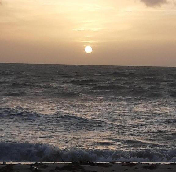 The Funky Dodo Backpackers Hostel