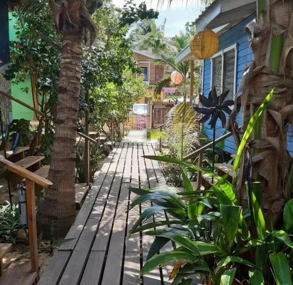 The Funky Dodo Backpackers Hostel