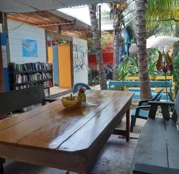 The Funky Dodo Backpackers Hostel