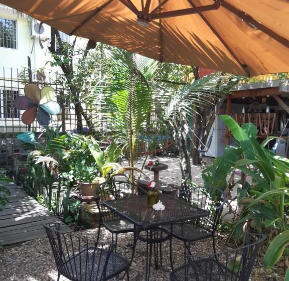 The Funky Dodo Backpackers Hostel