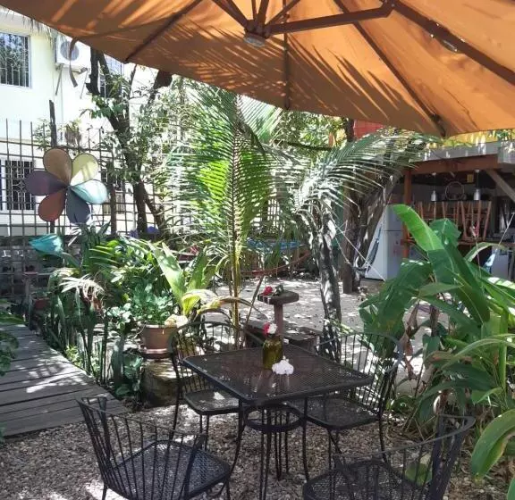 The Funky Dodo Backpackers Hostel