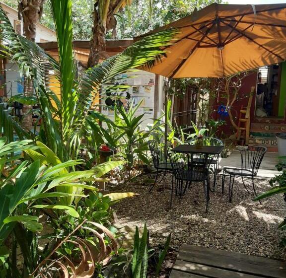 The Funky Dodo Backpackers Hostel