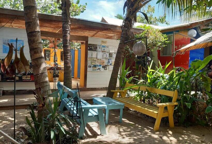 The Funky Dodo Backpackers Hostel
