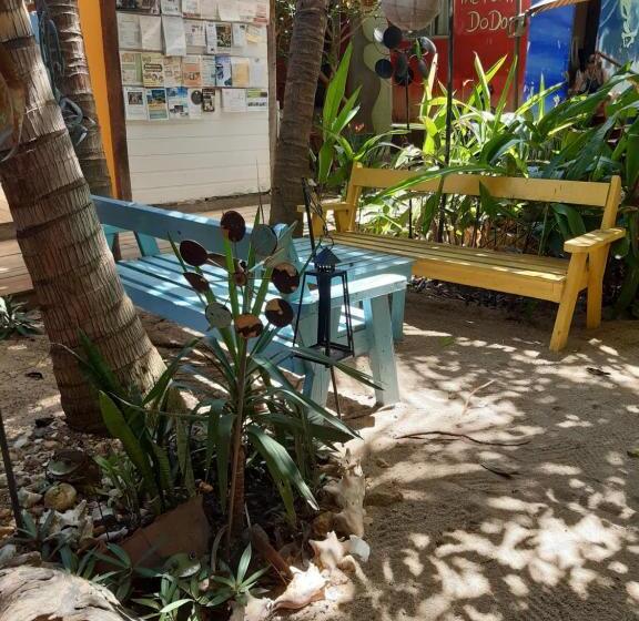 The Funky Dodo Backpackers Hostel