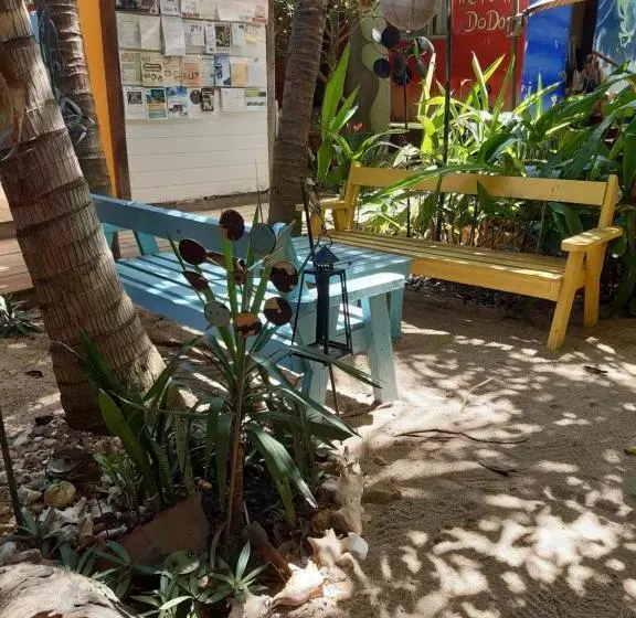 The Funky Dodo Backpackers Hostel