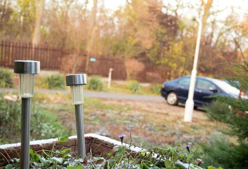 Bed and Breakfast Fortuna Panzio