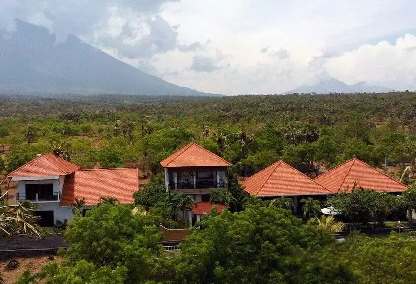 Aamiaismajoitus (B&B) Ocean Villa Dive Resort   Tulamben
