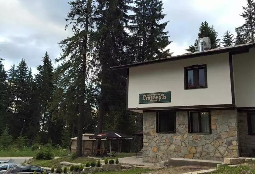 Family Hotel Ginger