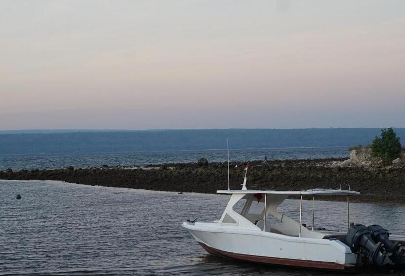 בית מלון כפרי Samawa Transit