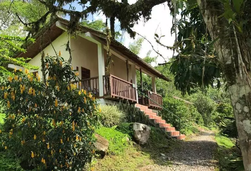 Hotelli Jungle Lodge El Jardin Aleman