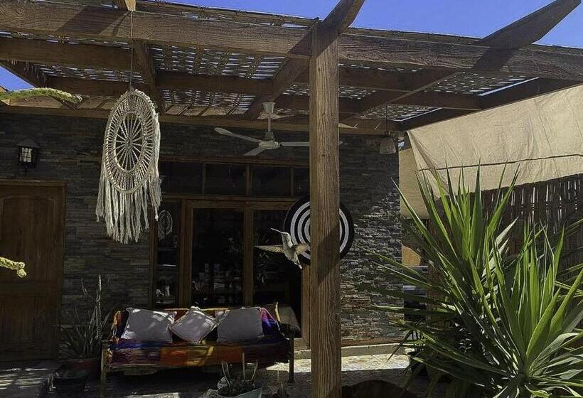 膳宿费 Hostal Villa Italo