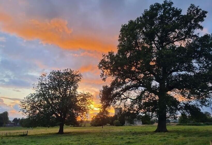 فندق ريفى Nine Yards Farrington S Family Glamping