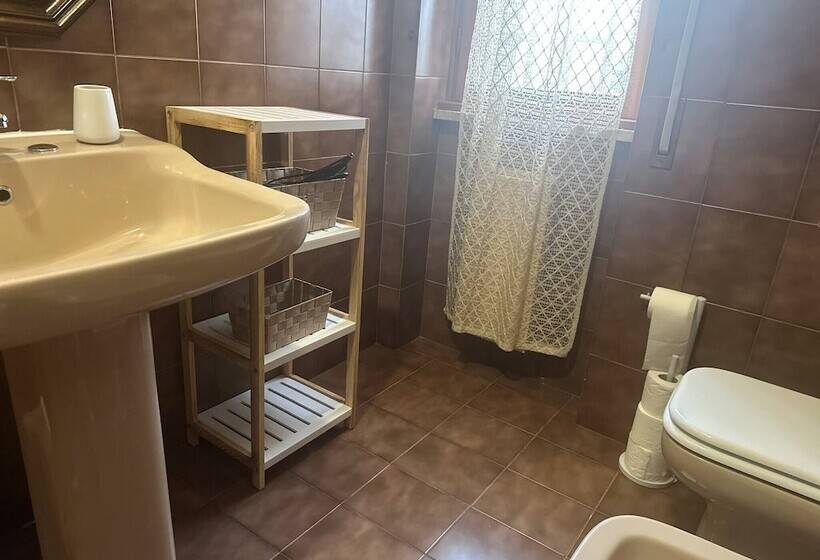 膳宿费 Room In B&b Comfortable Room With Spacious Kitchen Suite Colosseo