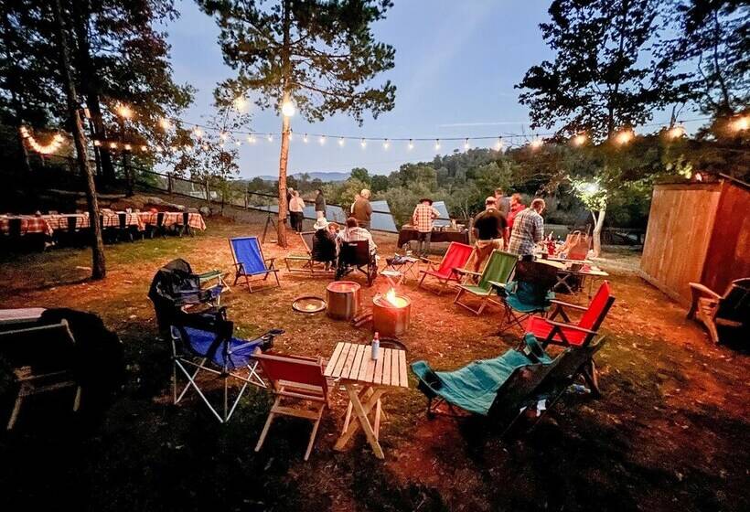 Wrong Way River Lodge & Cabins