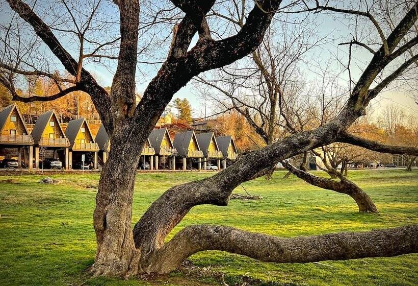 Wrong Way River Lodge & Cabins