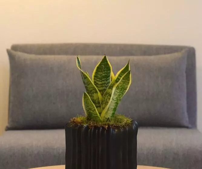 Giustiniani Apartments