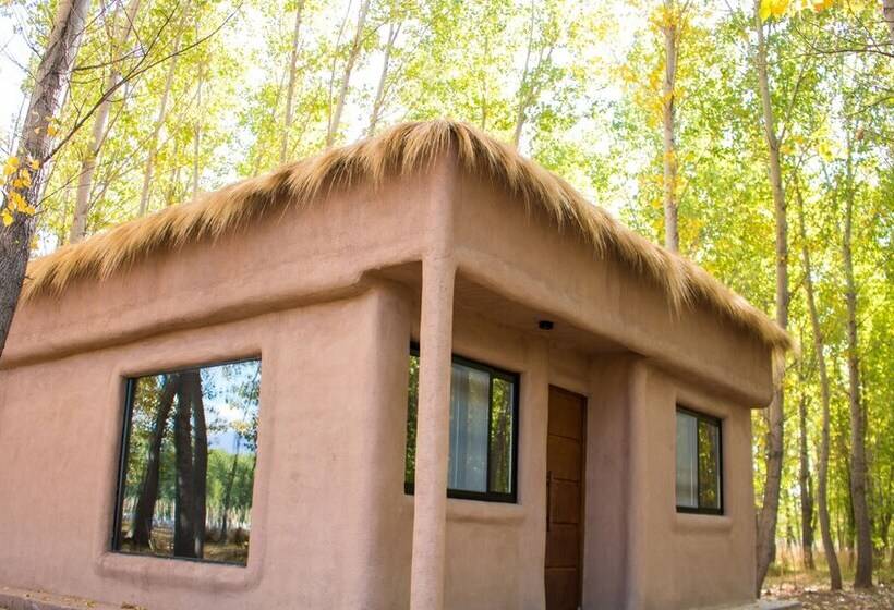 Hotel Estancia San Alberto Lodge