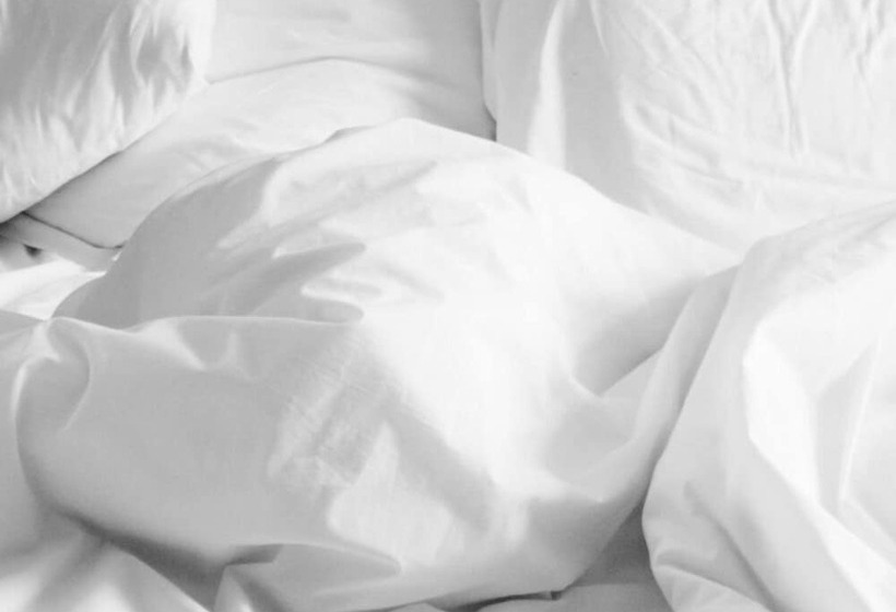 ホテル La Maison Rabelais