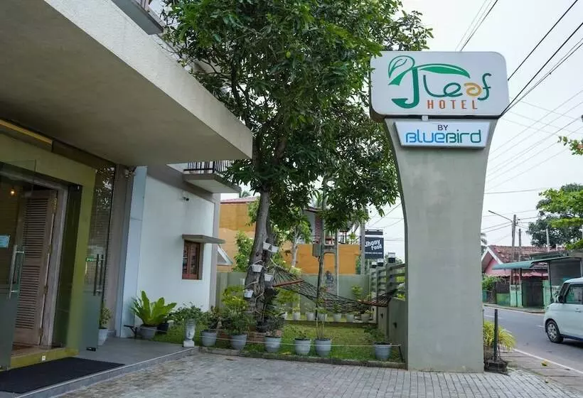 J Leaf Hotel By Blue Bird