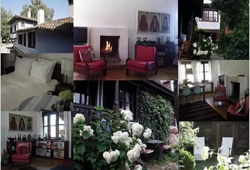 ベッドアンドブレックファースト Darina Guest House