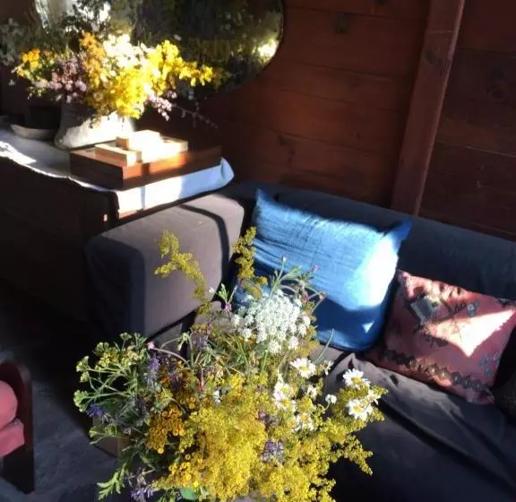 ベッドアンドブレックファースト Darina Guest House