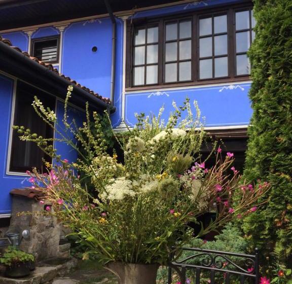 צימר Darina Guest House