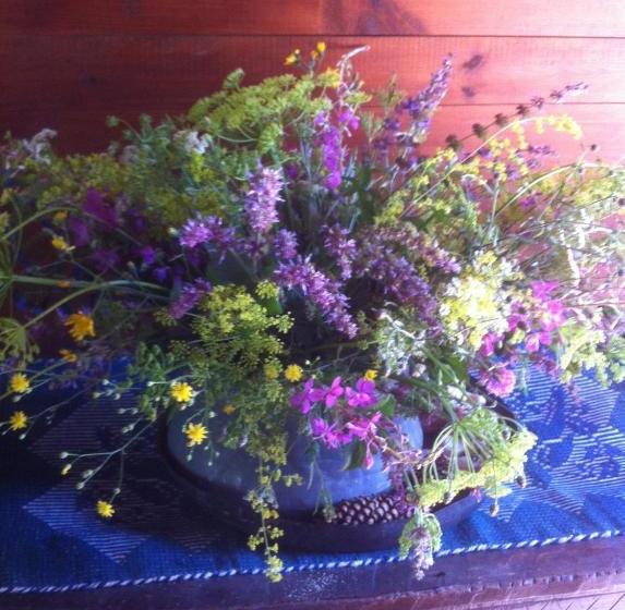 צימר Darina Guest House