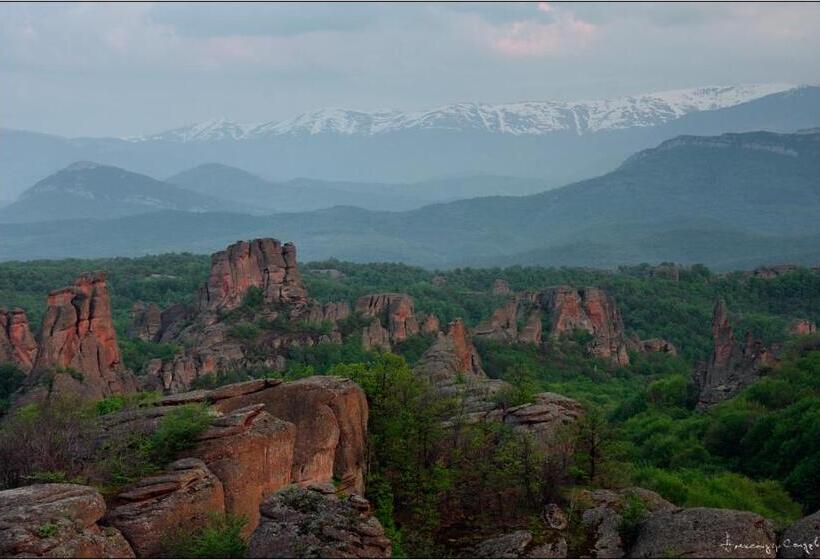 هتل Castle Cottage Bed & Breakfast