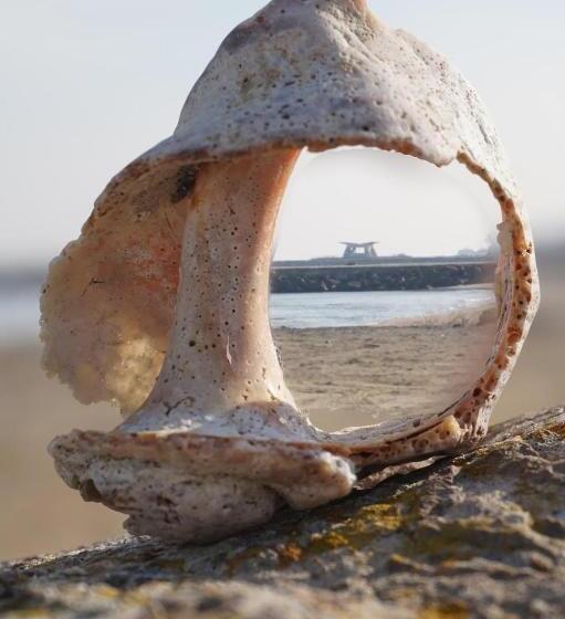 Family Hotel Electra