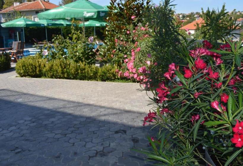 Отель Iva Resort