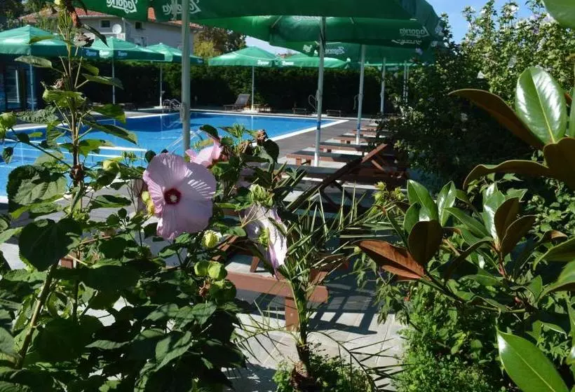 Hotelli Iva Resort